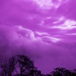 『中原逐鹿編３　～曹操の憂鬱～』