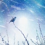 『中原逐鹿編５　～忍耐が必要なとき！～』