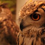 『赤壁大戦編1 ~至誠、人を動かす(前編)~』