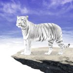 『周瑜伝2 ~周瑜の実像に迫る!~』