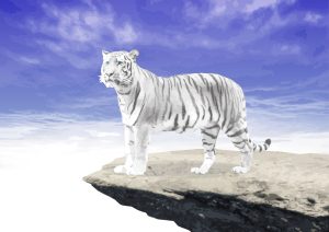 『周瑜伝2 ~周瑜の実像に迫る!~』